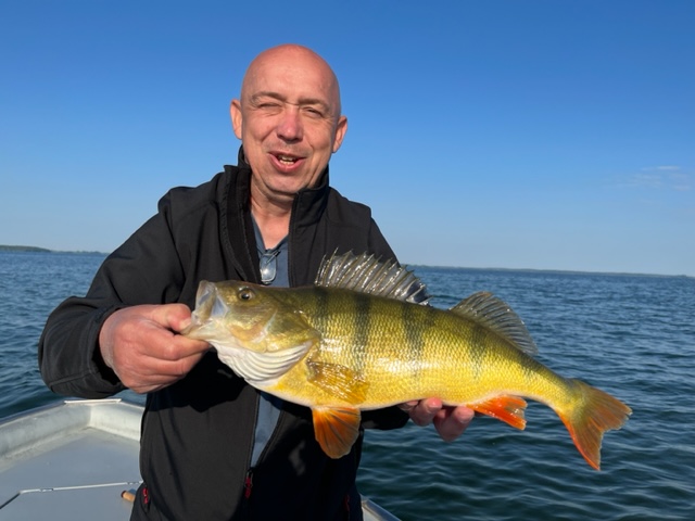 46cm