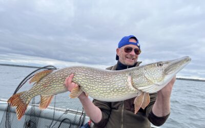 An der Müritz starke Hechte und gute Zander !
