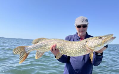 Ein langer Winter und schöne Fische !